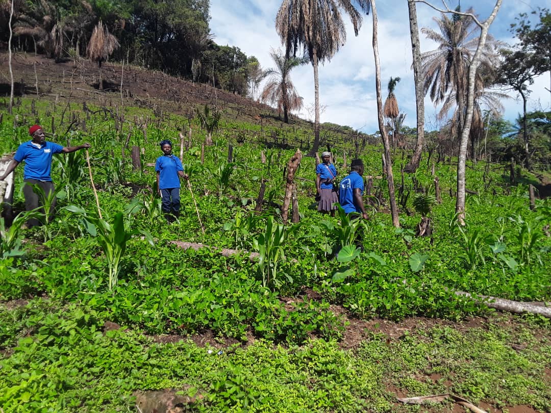 Community Farming